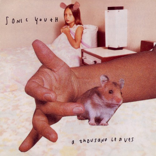 Sonic Youth — A Thousand Leaves cover