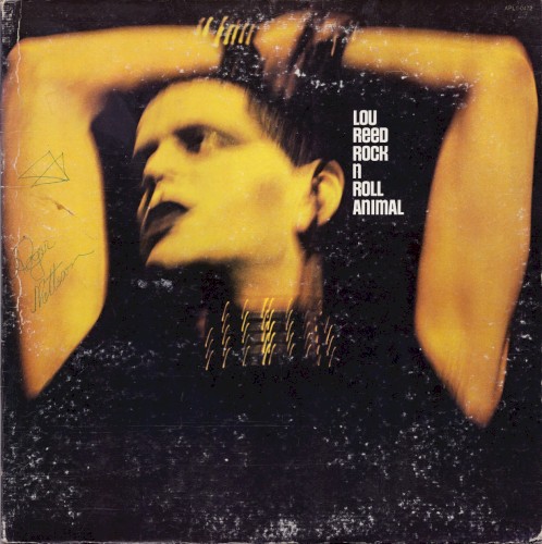 Lou Reed — Rock n Roll Animal cover
