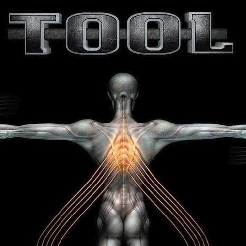 Tool — Salival cover