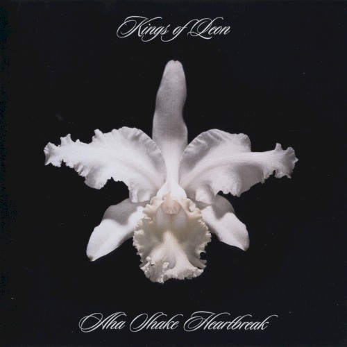 Kings of Leon — Aha Shake Heartbreak cover