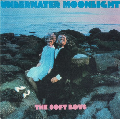 The Soft Boys — Underwater Moonlight cover