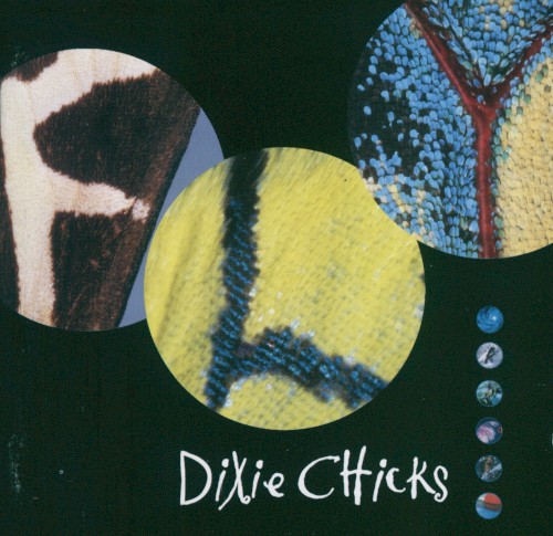 Dixie Chicks — Fly cover