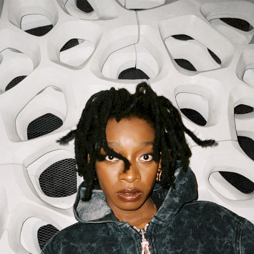 Little Simz — NO THANK YOU cover