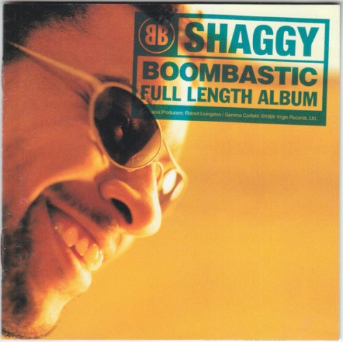 Shaggy — Boombastic cover